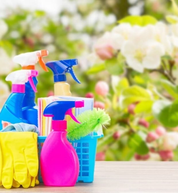 Spring Cleaning Orchid Cleaning Services