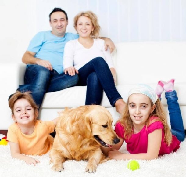 Family in Living Room with pet. Cleaning tips for pets Orchid Cleaning Services