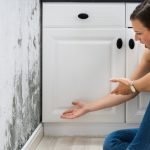 The Hidden Dangers of Mold and How to Prevent Them