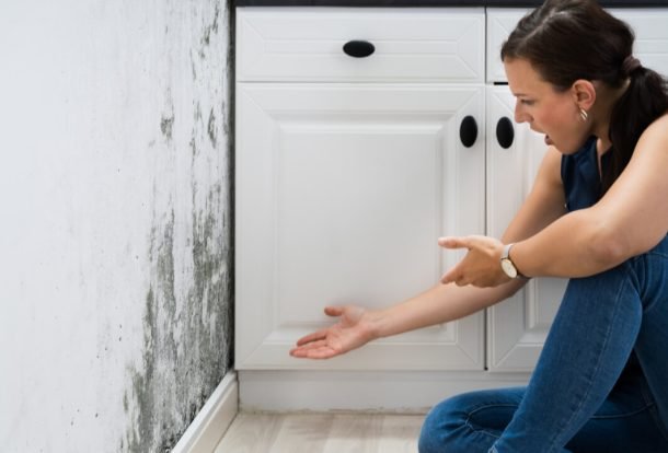 The Hidden Dangers of Mold and How to Prevent Them