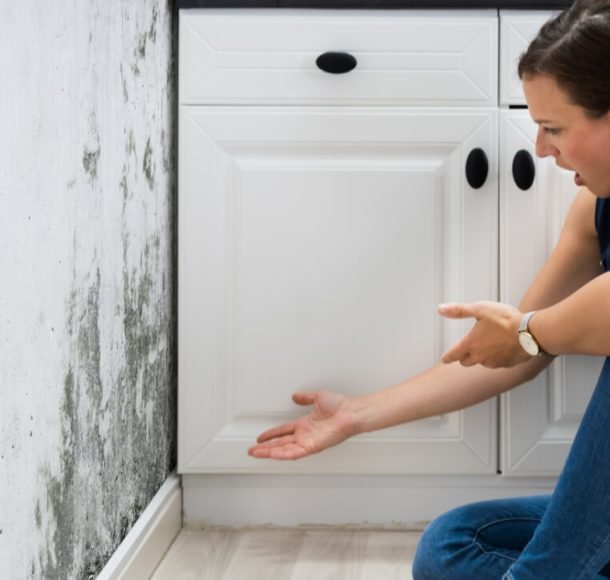 The Hidden Dangers of Mold and How to Prevent Them