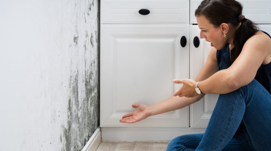 The Hidden Dangers of Mold and How to Prevent Them