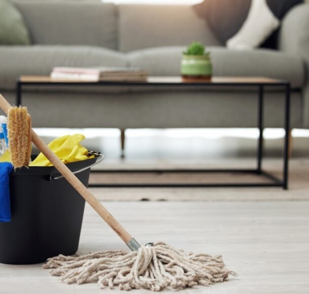Recurring house cleaning Boynton Beach